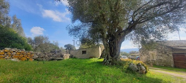 quadrivano in vendita a Monti