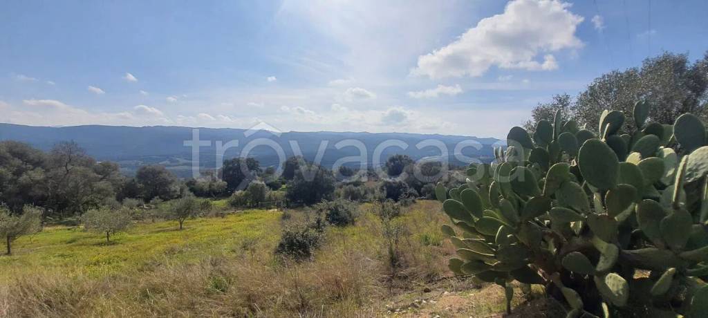 terreno agricolo in vendita a Monti