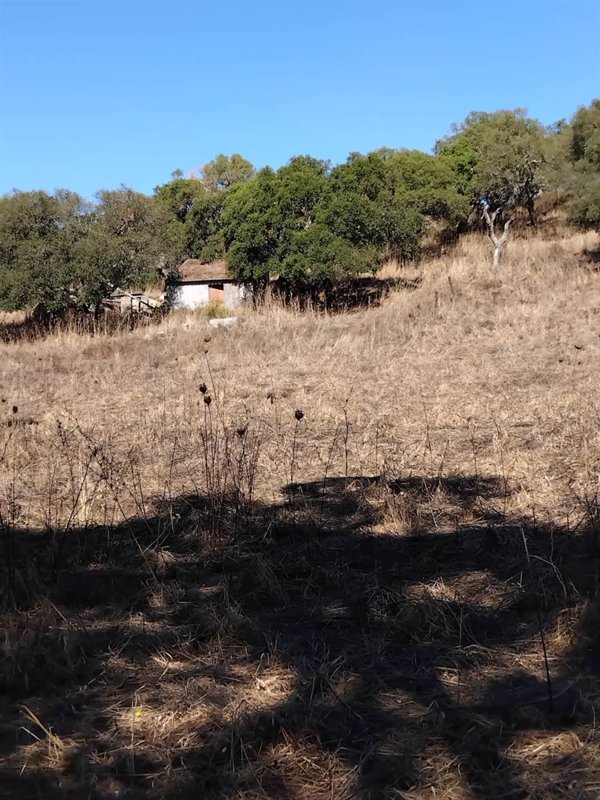 appartamento in vendita a Monti