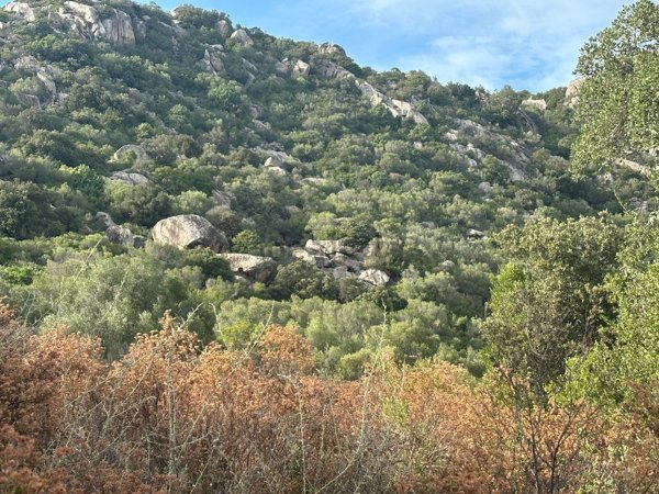 casa indipendente in vendita a Monti