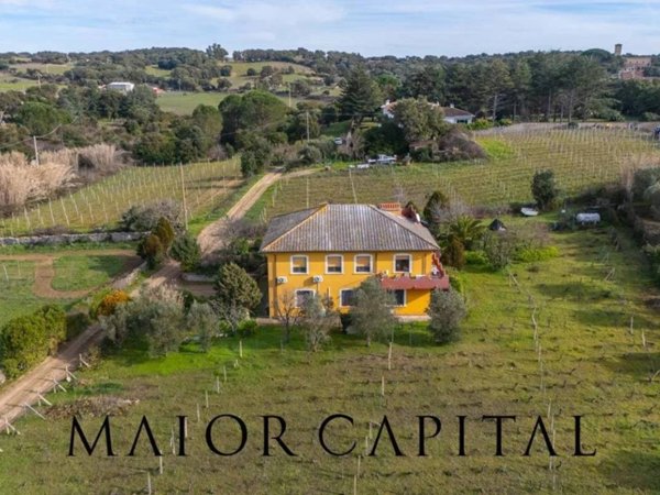 casa indipendente in vendita a Monti