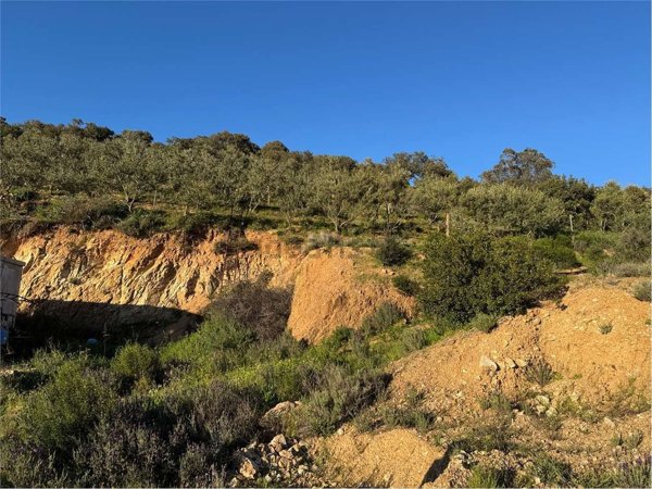 terreno agricolo in vendita a Monti in zona Sos Rueddos