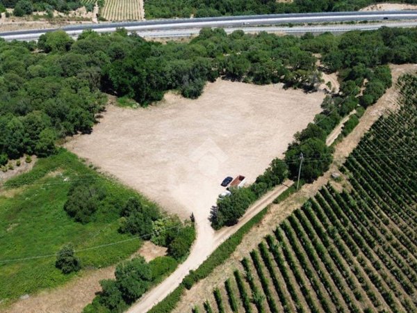 terreno agricolo in vendita a Monti