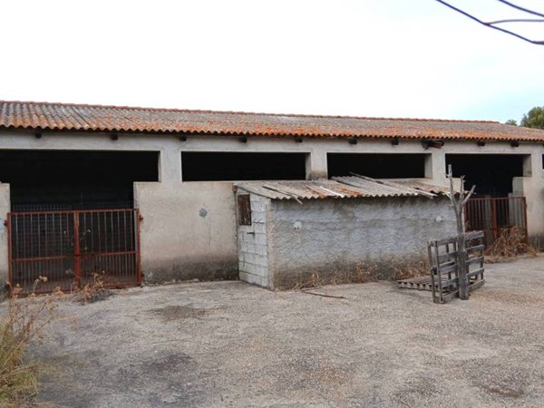 terreno agricolo in vendita a Monti