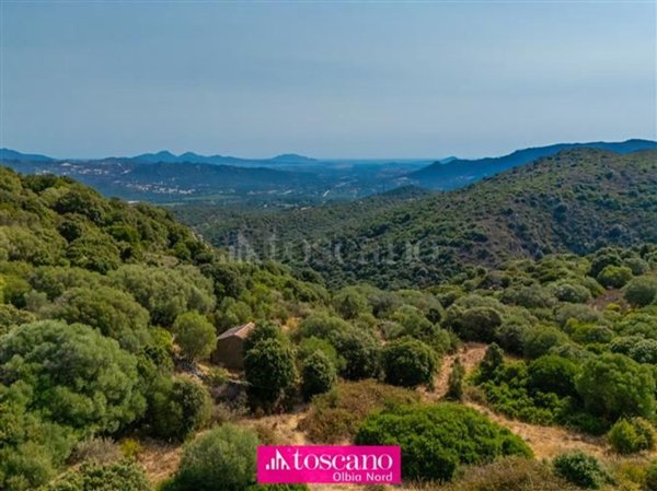 terreno agricolo in vendita a Monti