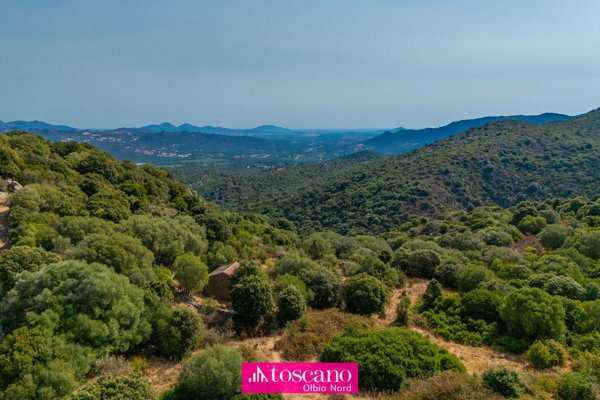 terreno in vendita a Monti
