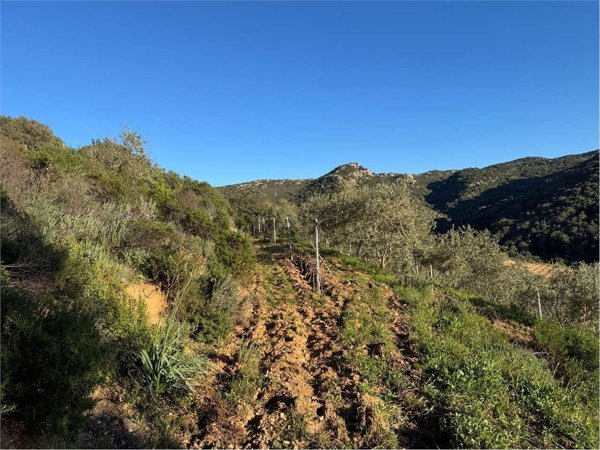 terreno in vendita a Monti