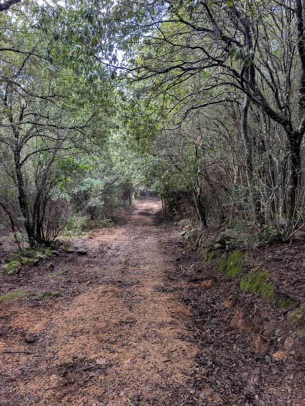 terreno in vendita a Monti