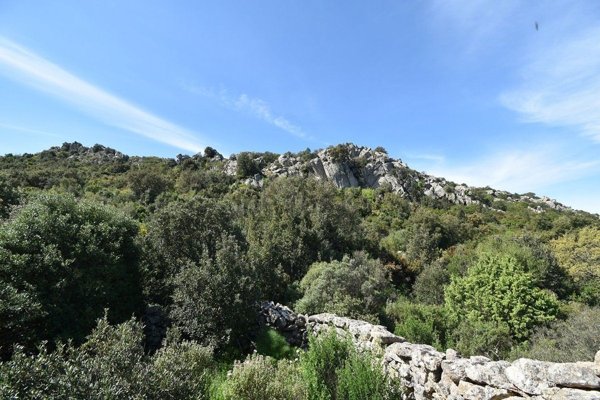 terreno in vendita a Monti