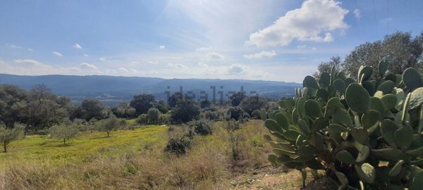 terreno in vendita a Monti