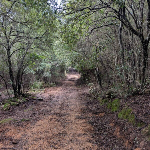 terreno in vendita a Monti