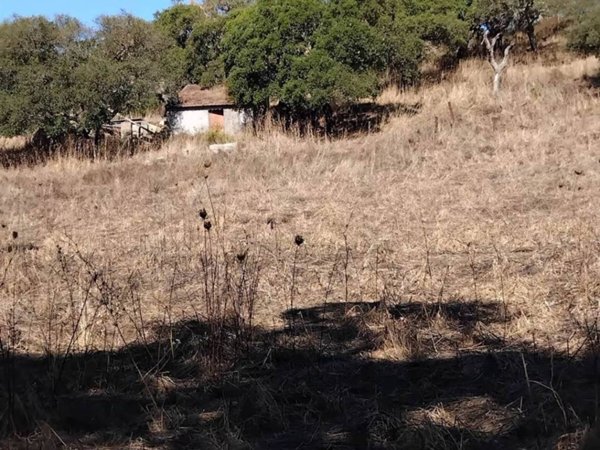 terreno in vendita a Monti