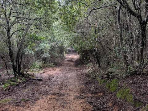 terreno in vendita a Monti