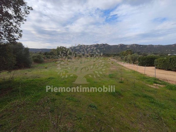 terreno in vendita a Monti