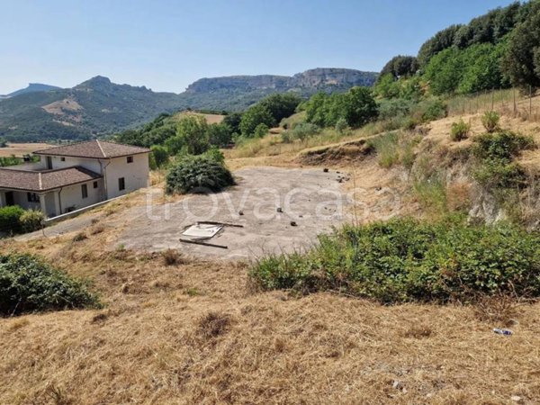 terreno agricolo in vendita a Muros