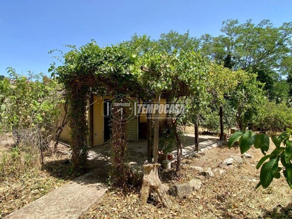 terreno agricolo in vendita a Nulvi