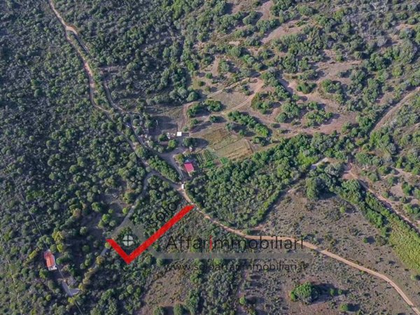 terreno agricolo in vendita ad Olbia in zona Osseddu