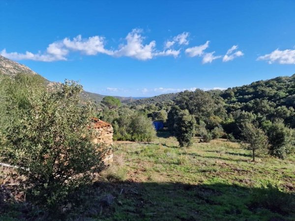 terreno agricolo in vendita ad Olbia in zona Porto Rotondo