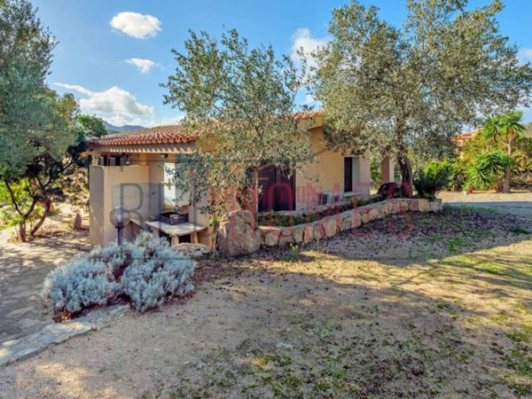 casa indipendente in vendita ad Olbia in zona Porto Rotondo