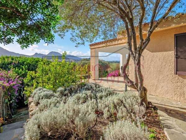 casa indipendente in vendita ad Olbia in zona Porto Rotondo