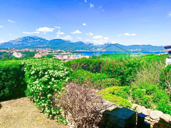 immagine annuncio 0 di 15