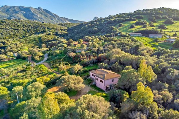 casa indipendente in vendita ad Olbia in zona Porto Rotondo