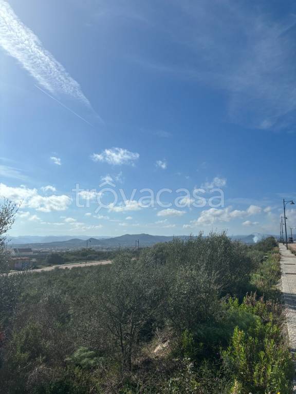 terreno agricolo in vendita ad Olbia in zona Sa Minda Noa