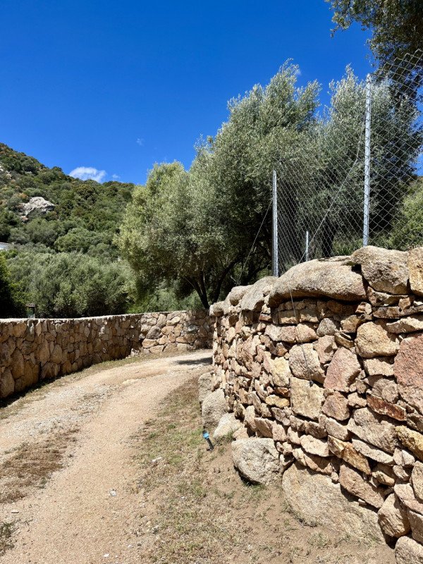 casa indipendente in vendita ad Olbia in zona Santa Mariedda