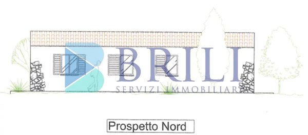 casa indipendente in vendita ad Olbia