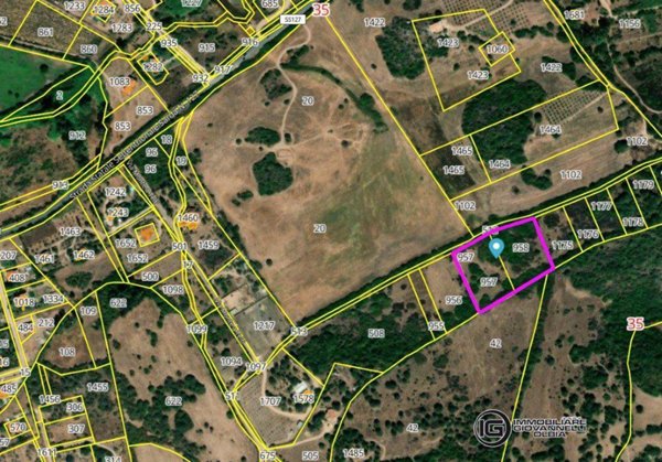 appartamento in vendita ad Olbia