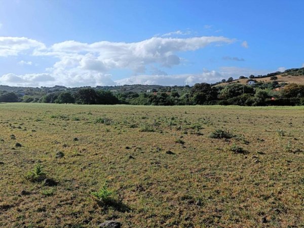 terreno agricolo in vendita ad Olbia in zona Putzolu