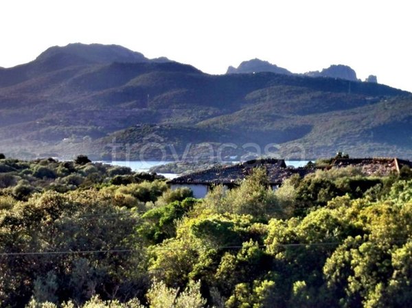 casa indipendente in vendita ad Olbia in zona Porto Rotondo