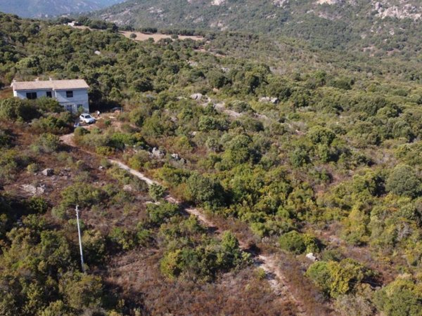 casa indipendente in vendita ad Olbia in zona Sole Ruiu