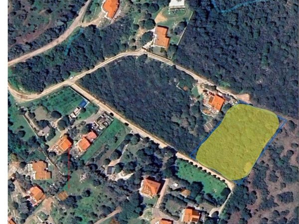 terreno agricolo in vendita ad Olbia in zona Pittulongu