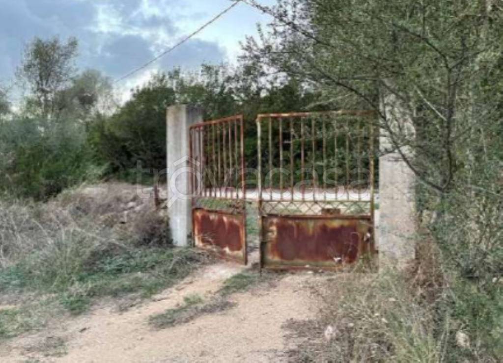 terreno agricolo in vendita ad Olbia