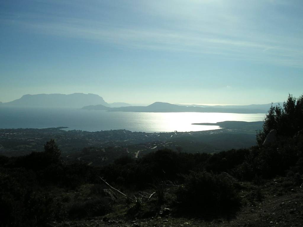 terreno agricolo in vendita ad Olbia in zona Pittulongu