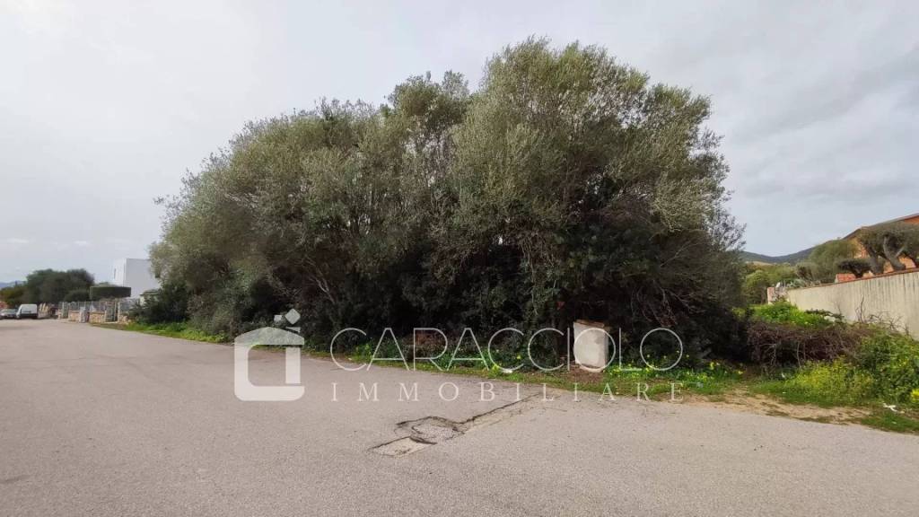 terreno agricolo in vendita ad Olbia in zona Pittulongu