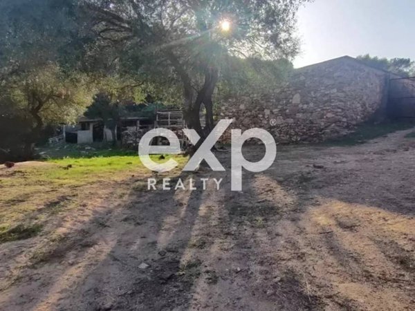 terreno agricolo in vendita ad Olbia in zona Cugnana