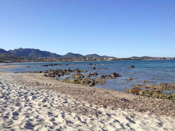 casa indipendente in vendita ad Olbia in zona Pittulongu