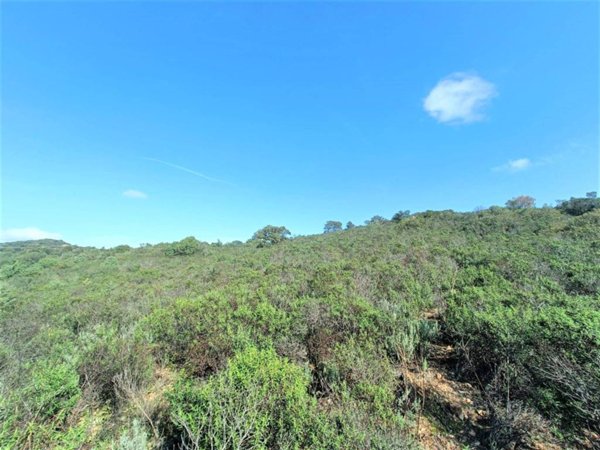 terreno agricolo in vendita ad Olbia in zona Putzolu