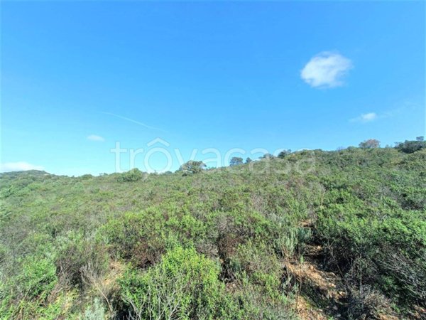 terreno agricolo in vendita ad Olbia in zona Putzolu