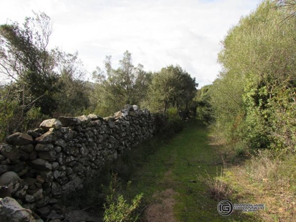 appartamento in vendita ad Olbia