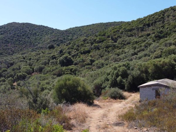 casa indipendente in vendita ad Olbia in zona Murta Maria