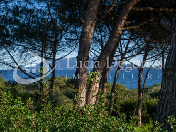 casa indipendente in vendita ad Olbia in zona Pittulongu