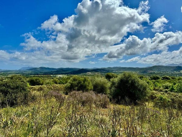 terreno agricolo in vendita ad Olbia