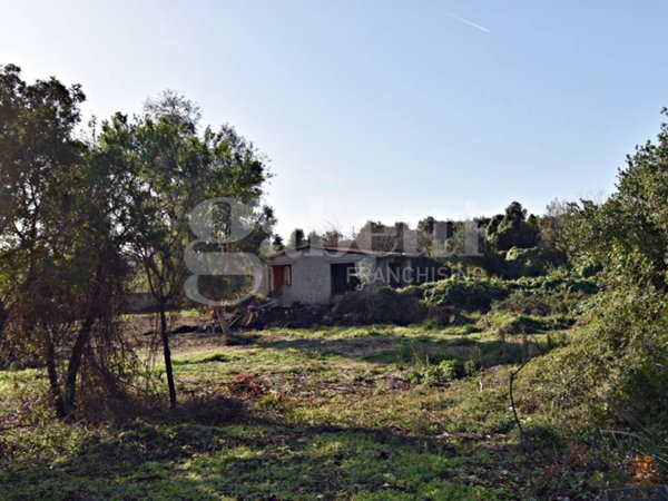 terreno agricolo in vendita ad Olbia in zona Santa Mariedda