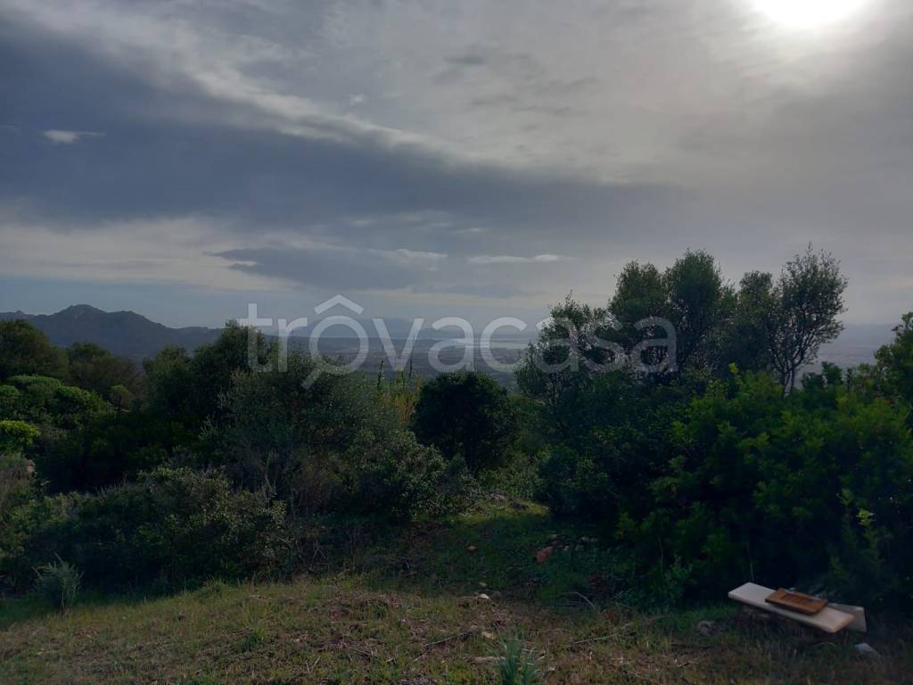 casa indipendente in vendita ad Olbia in zona Santa Mariedda