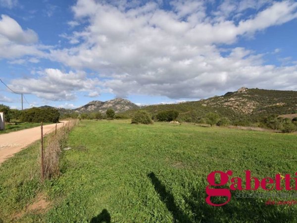 terreno agricolo in vendita ad Olbia in zona Pittulongu