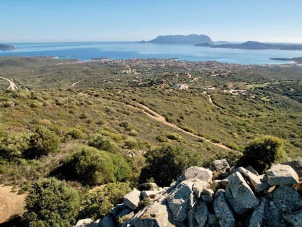 terreno agricolo in vendita ad Olbia in zona Pittulongu