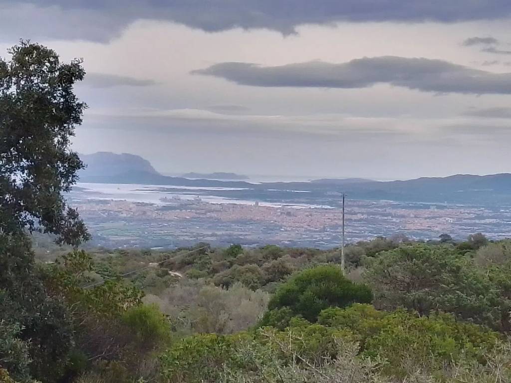 terreno agricolo in vendita ad Olbia in zona Santa Mariedda